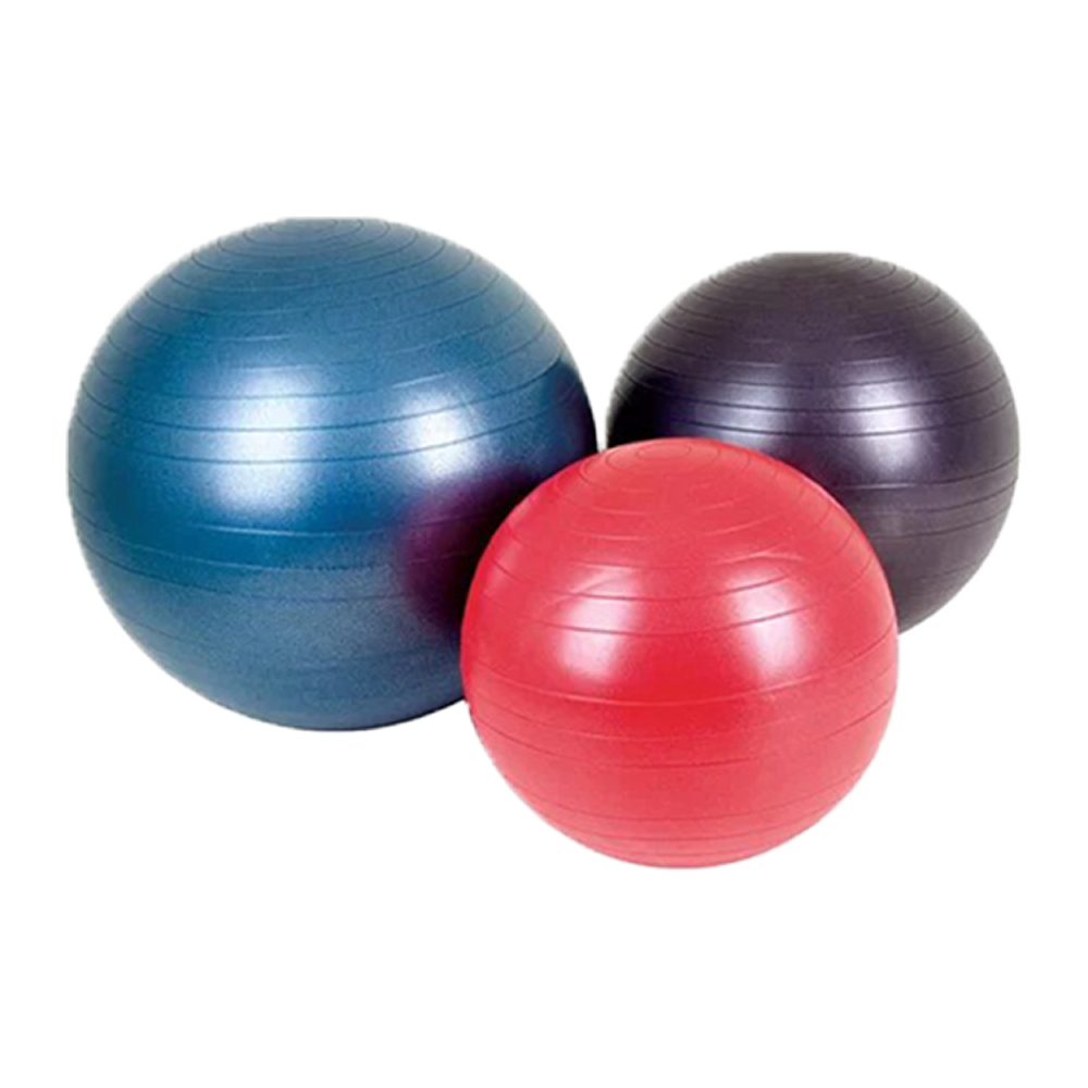 Gym Ball 65cm MySoftlogic.lk